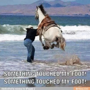  Is Liberal Arts Education to Blame?